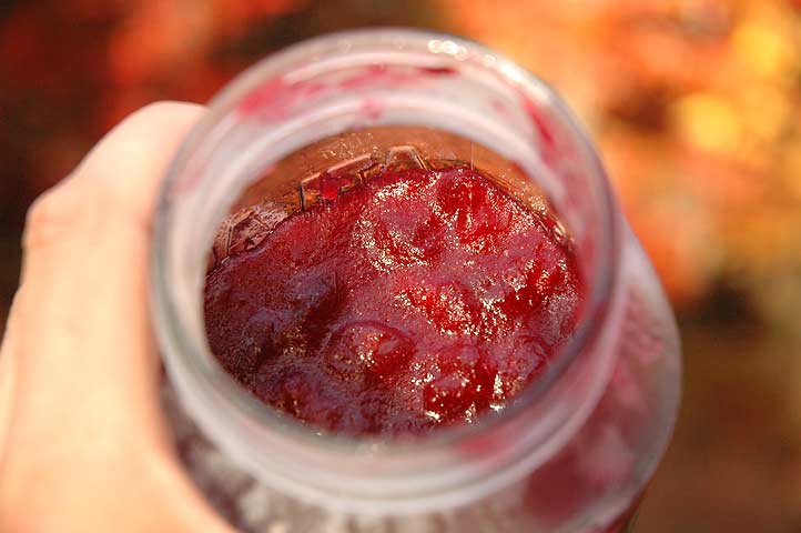 Lisa made some homemade cranberry sauce from New Brunswick-grown cranberries.  Simple and fabulous!
